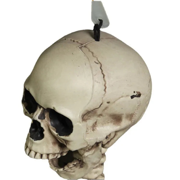 A full-size 170cm tall white plastic skeleton prop with a detailed skull on a neutral background.