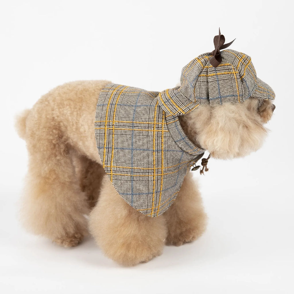 Camel coloured personalised cotton cloak for a dog with an adjustable hood.