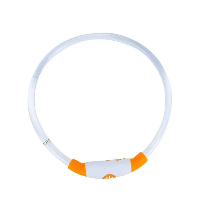 Blue USB rechargeable LED dog collar glowing around a dog's neck at night.