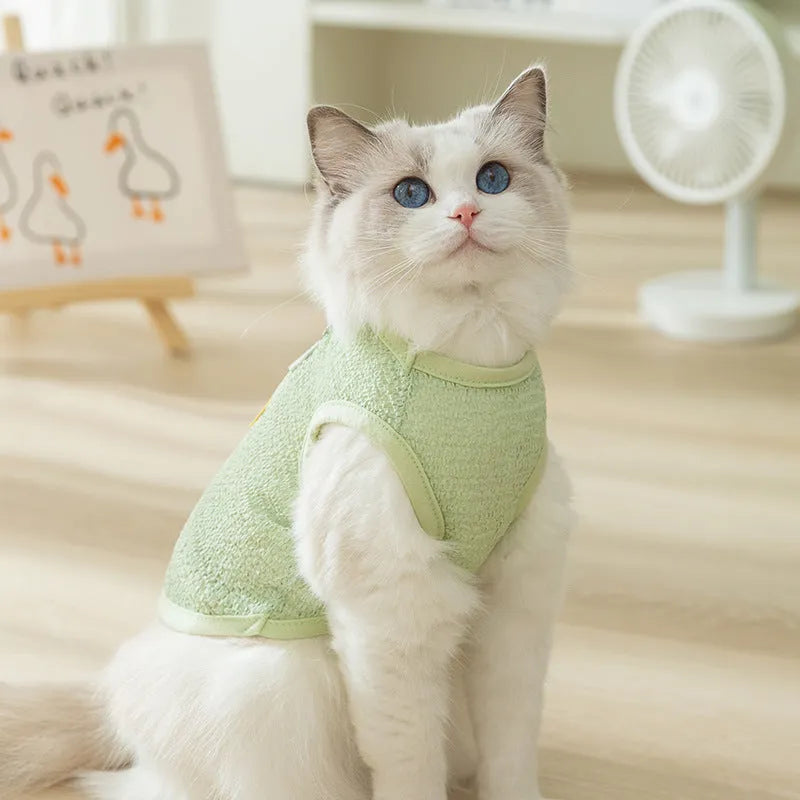 Green bear patch cat clothing with hollowed-out knitted fabric design on a feline