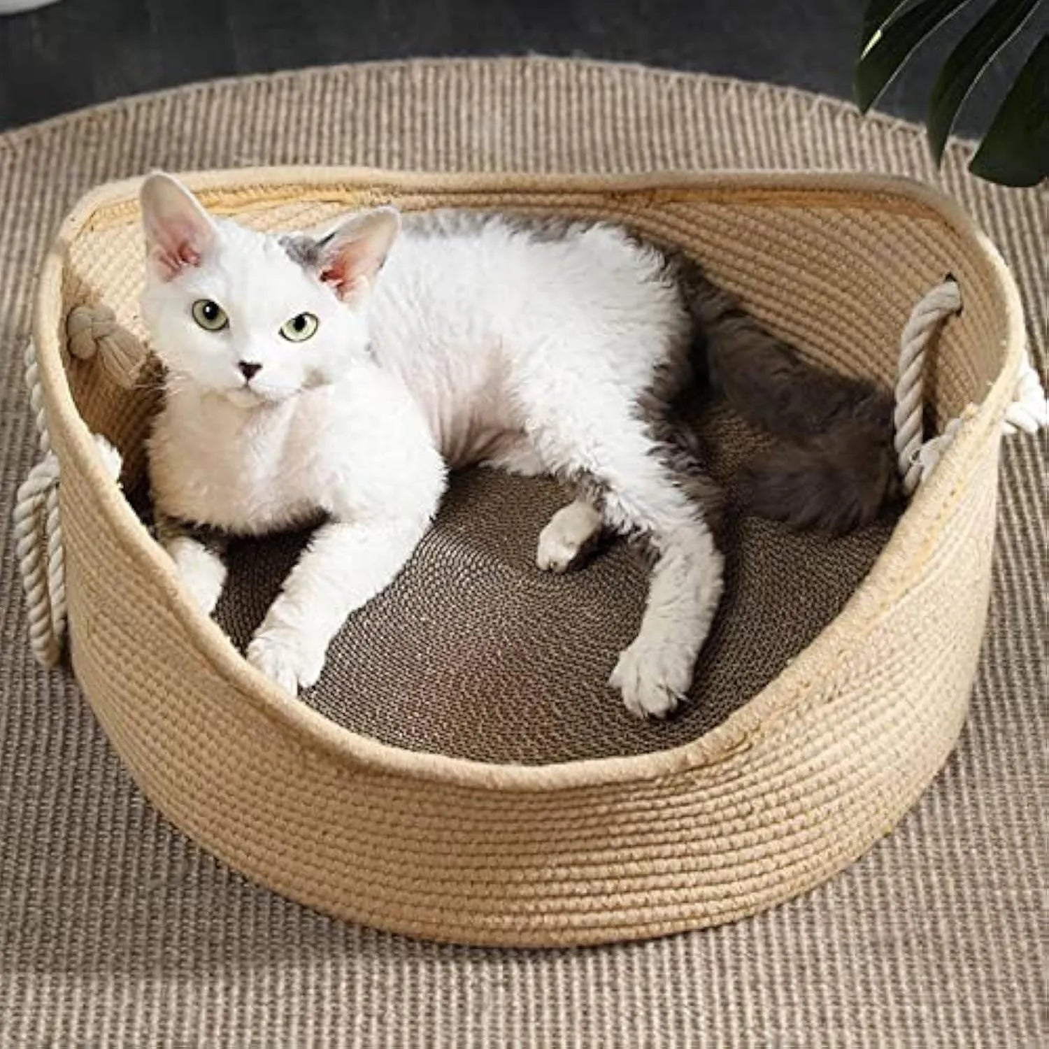 Rectangular wicker cat bed basket with corrugated scratching side, shown in small and large size options.
