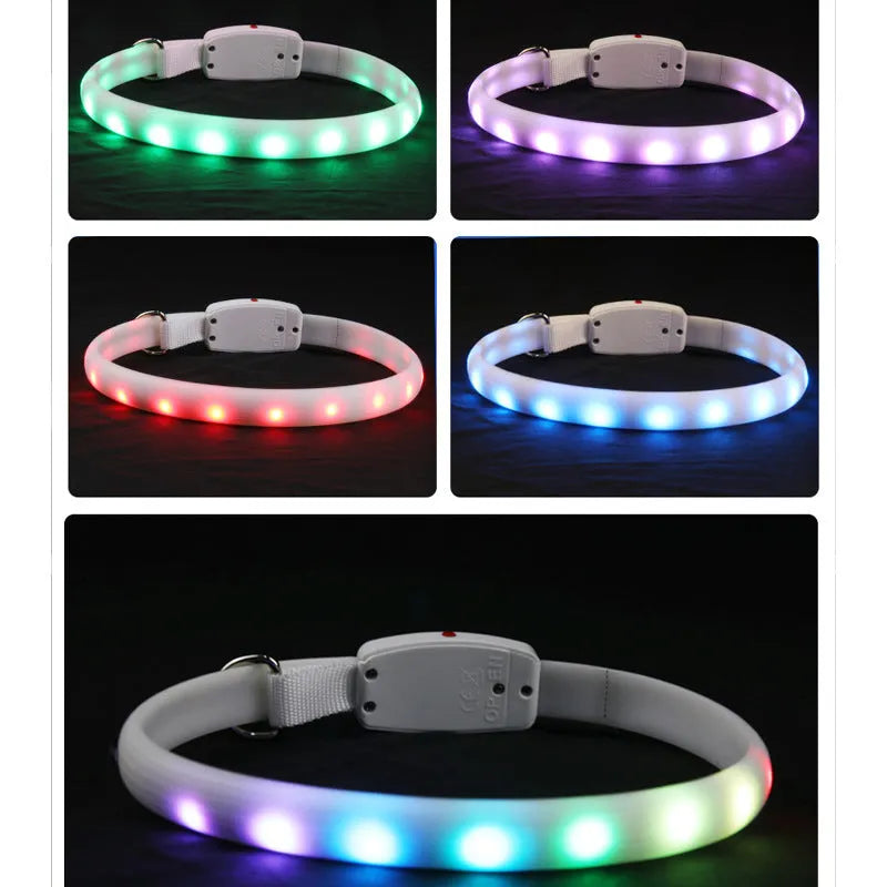 White USB rechargeable LED dog collar on a dark background, showing glowing tube and ABS switch
