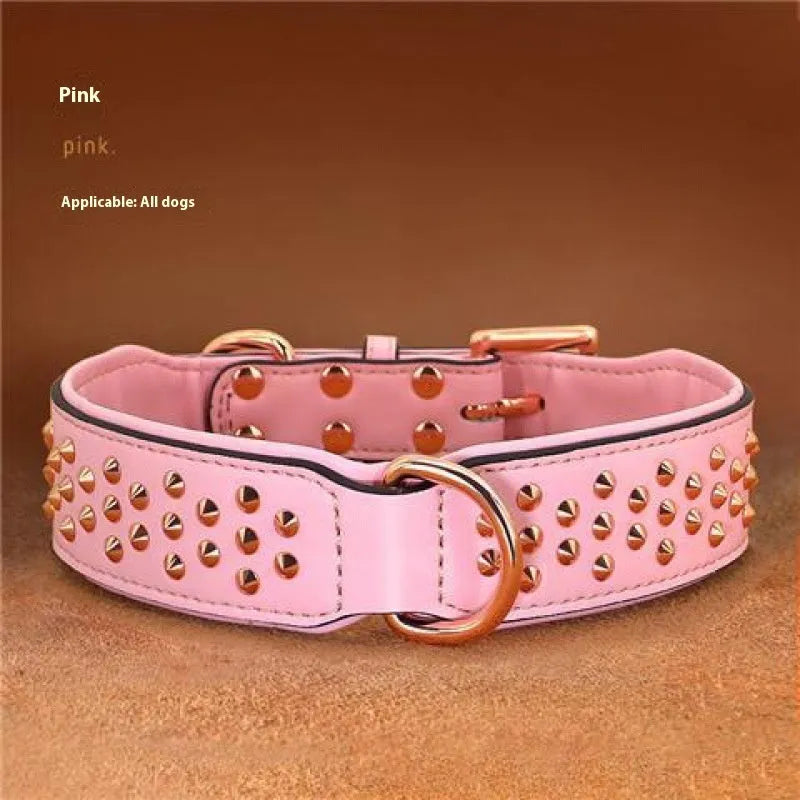 Leather dog collar with metal rivet studs in chocolate colour, shown on a size label.