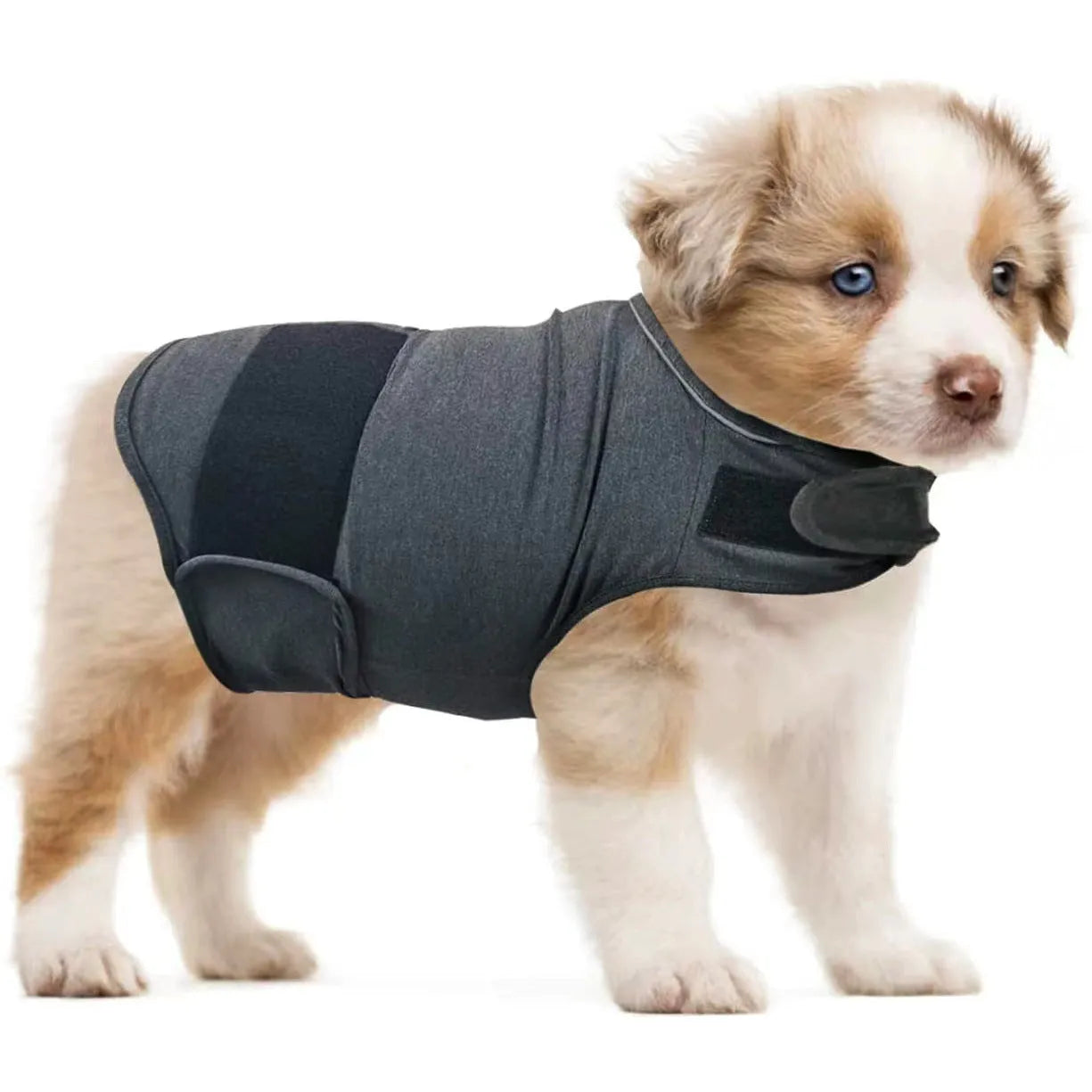 Brown brocade cotton dog tank top for anxiety relief shown on a pet