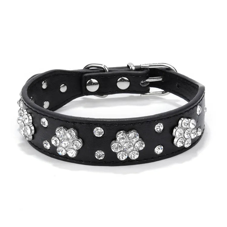 Black PU leather dog collar with silver rhinestone flower pattern and studs, shown on a small dog.