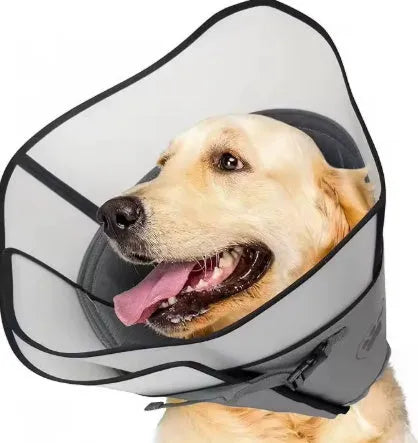 Pet sterilisation collar adjustable ring in polyester material showing L, M, XL sizing options