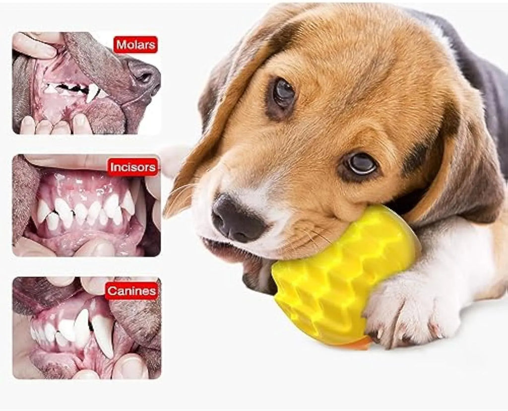 Blue and orange squeaky dog ball toy with spiky texture for dental cleaning and durable rubber construction