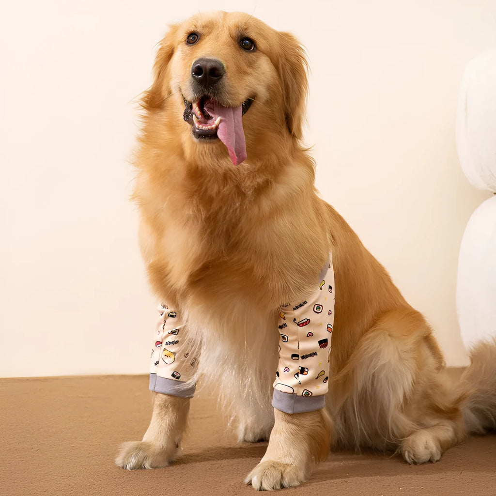 Dog wearing blue knee protector with elbow padding and matching scarf on front leg