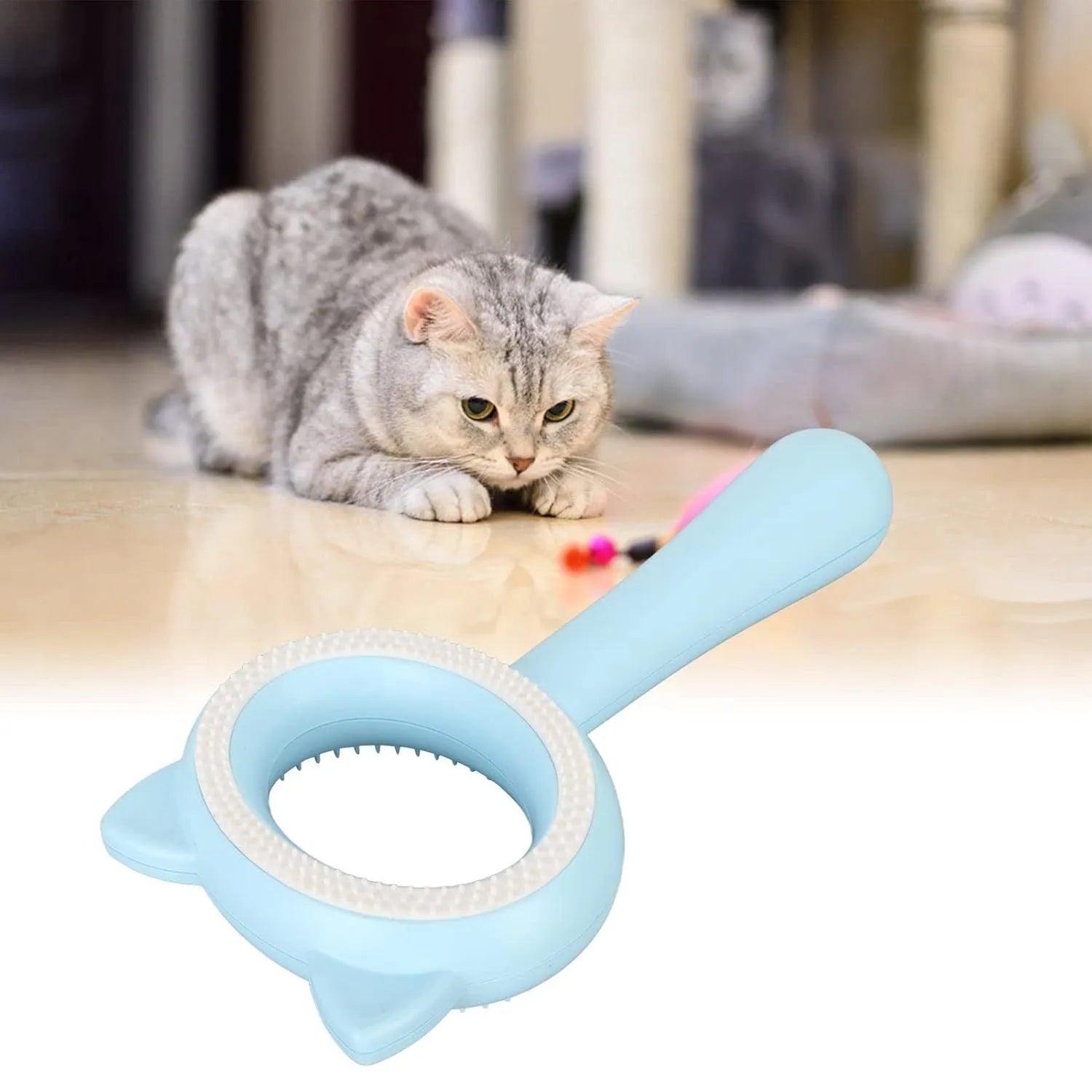 Blue and white double-sided pet grooming brush for cats and dogs on a white background.