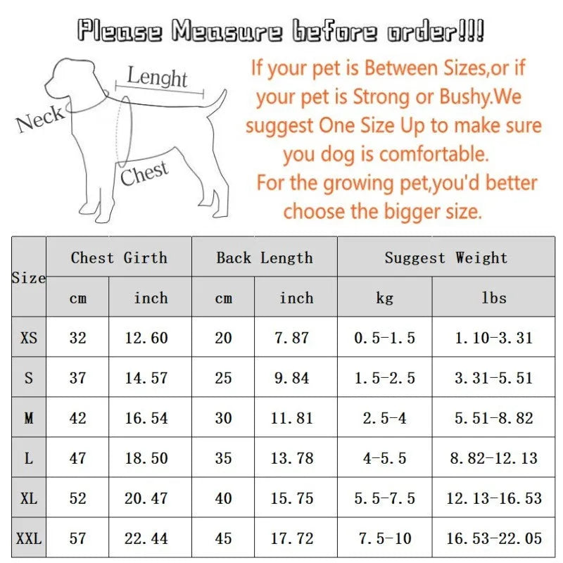 Blue striped bear four-legged pet pyjamas on a small dog with pullover round neck and long sleeves