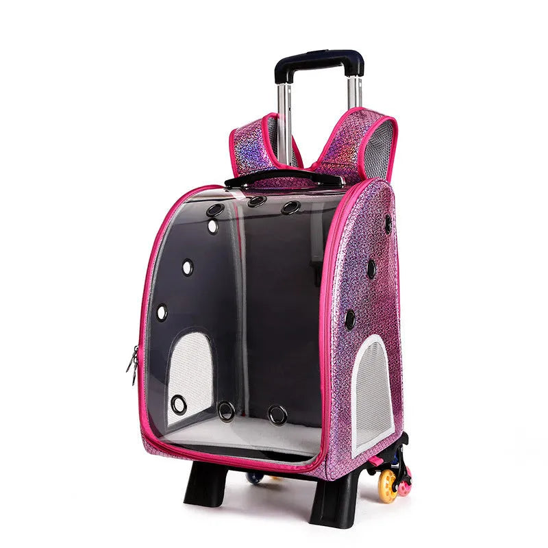 Transparent foldable pet trolley bag for small dogs and cats with shoulder carrying strap
