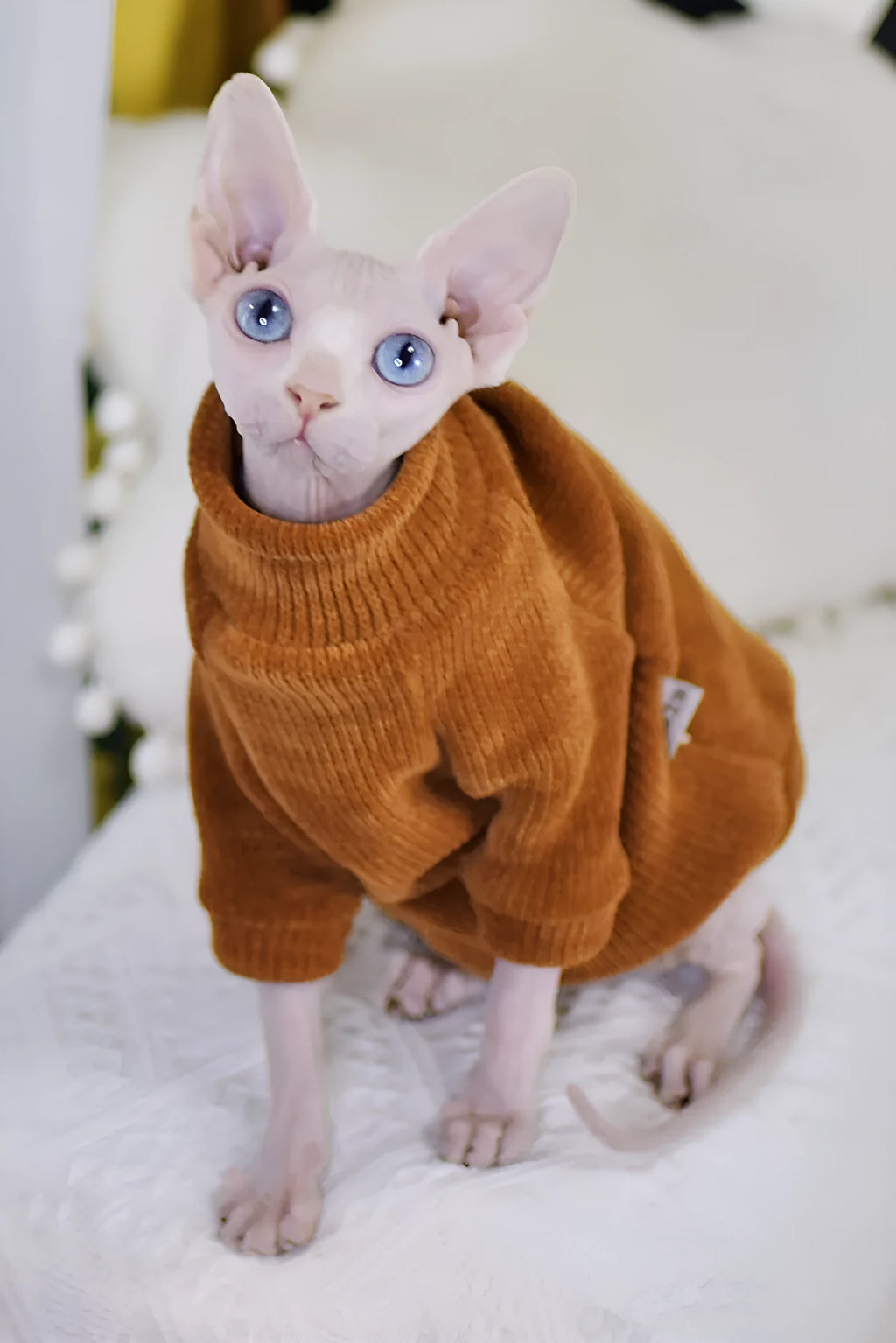 Caramel brown thickened chenille cat coat for hairless cats with fleece lining on white background