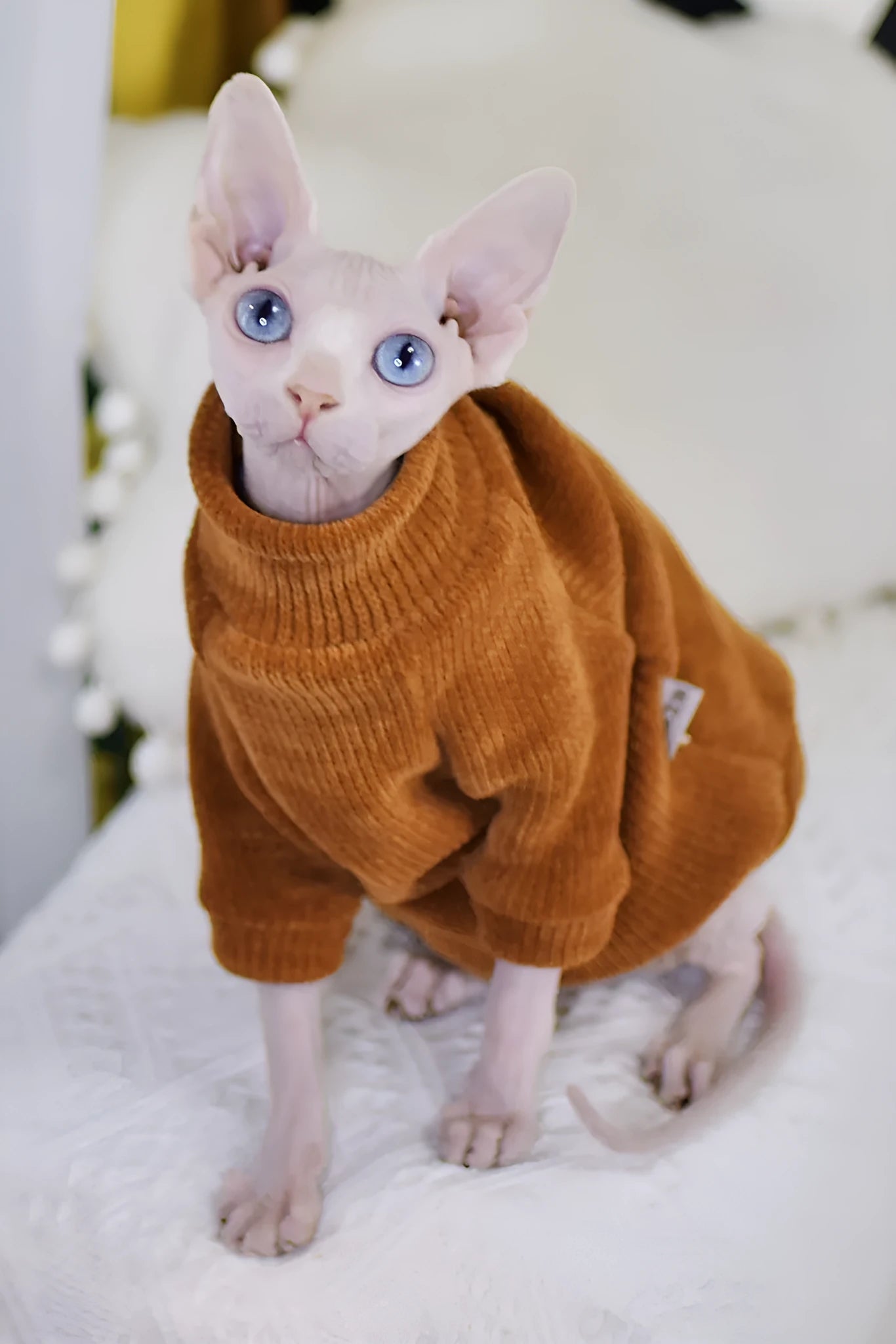 Caramel brown thickened chenille cat coat for hairless cats with fleece lining on white background