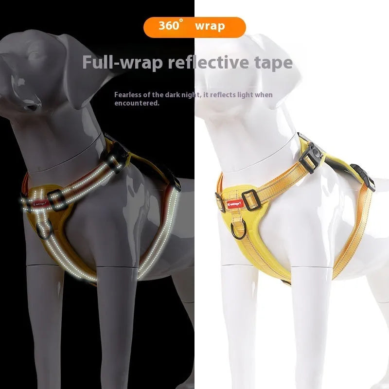 Polyester dog chest harness and lead set in multiple colours including Lake Blue, pink, and yellow