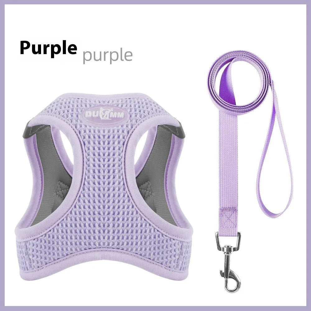 Cloth cat harness with chest strap and hand-holding rope in brown, green, purple colour options