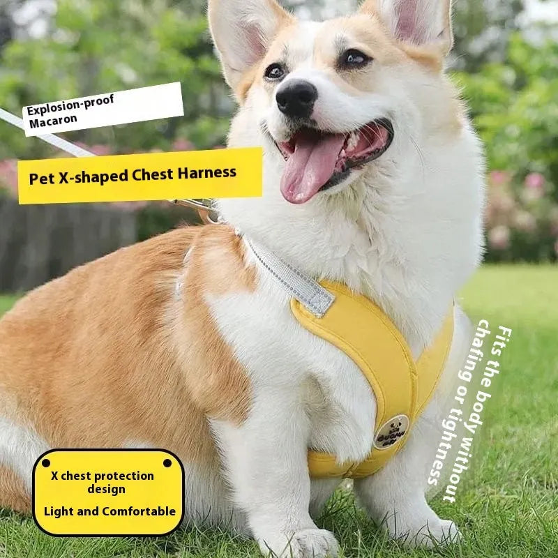 Adjustable dog harness and lead set with hand-holding rope in multiple colour options