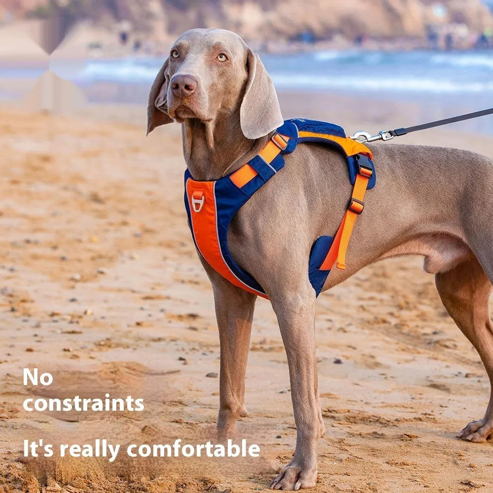 Orange and blue nylon dog chest strap vest harness shown on a model.