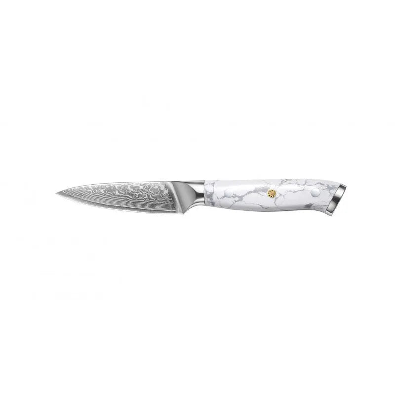Damascus pattern VG10 steel combined chef knife with 21cm blade on wooden surface