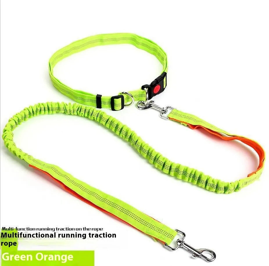 Grey and green elastic dog leash with reflective elements for night visibility during outdoor running