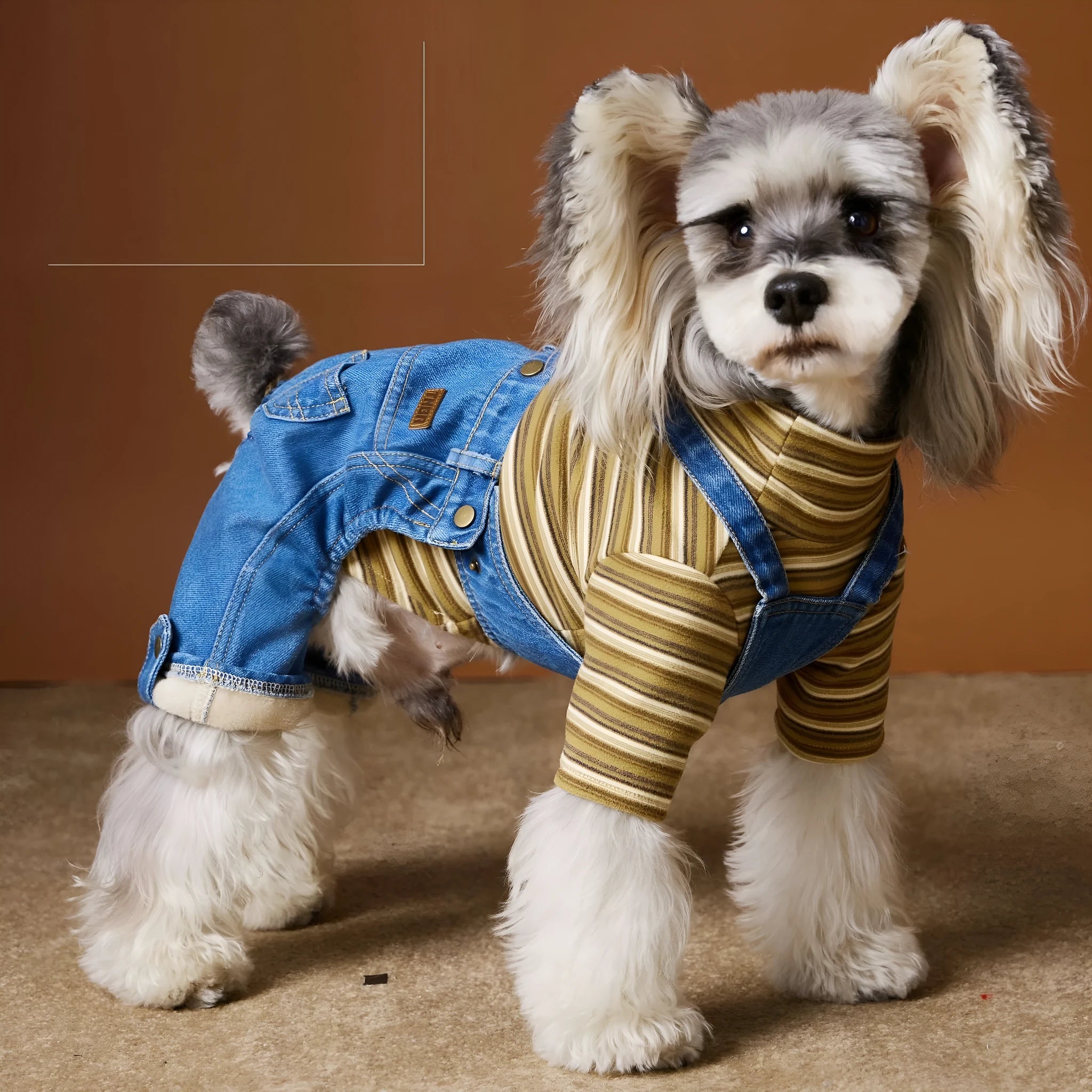 Denim blue fleece-lined thickened dog jeans for autumn winter pet wear with polar fleece interior