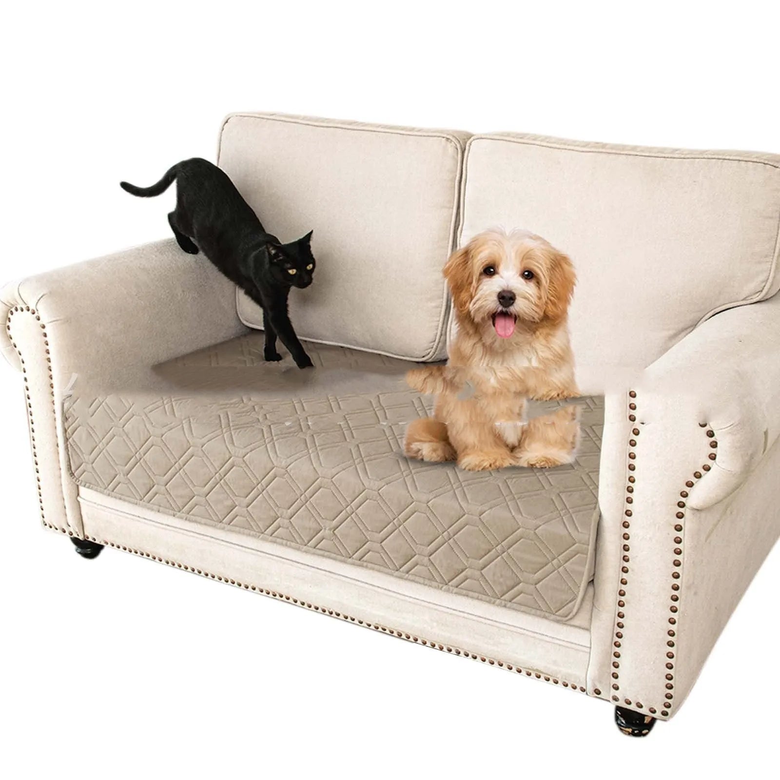 Reversible dark grey and light grey waterproof dog sofa cushion on a leather sofa