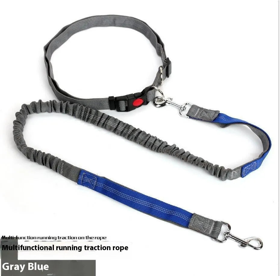 Grey and green elastic dog leash with reflective elements for night visibility during outdoor running
