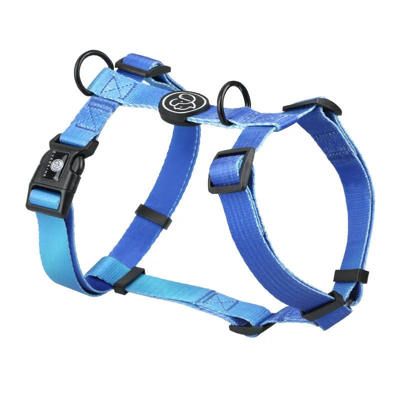 Gradient colour pet chest strap harness in purple, blue, neon, or green patterns.
