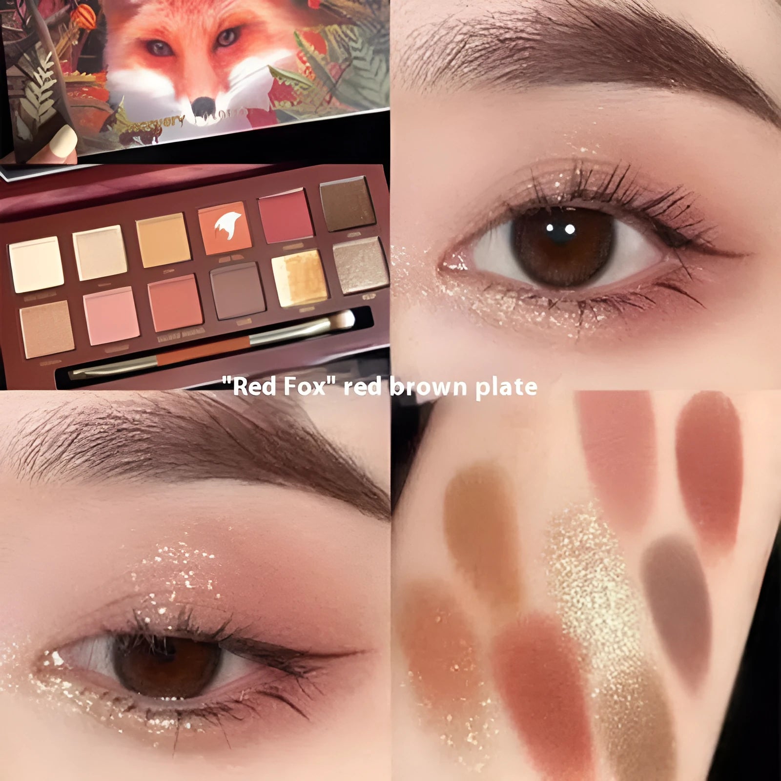 Explorer animal theme eyeshadow palette with twelve colours including matte and shimmer finishes