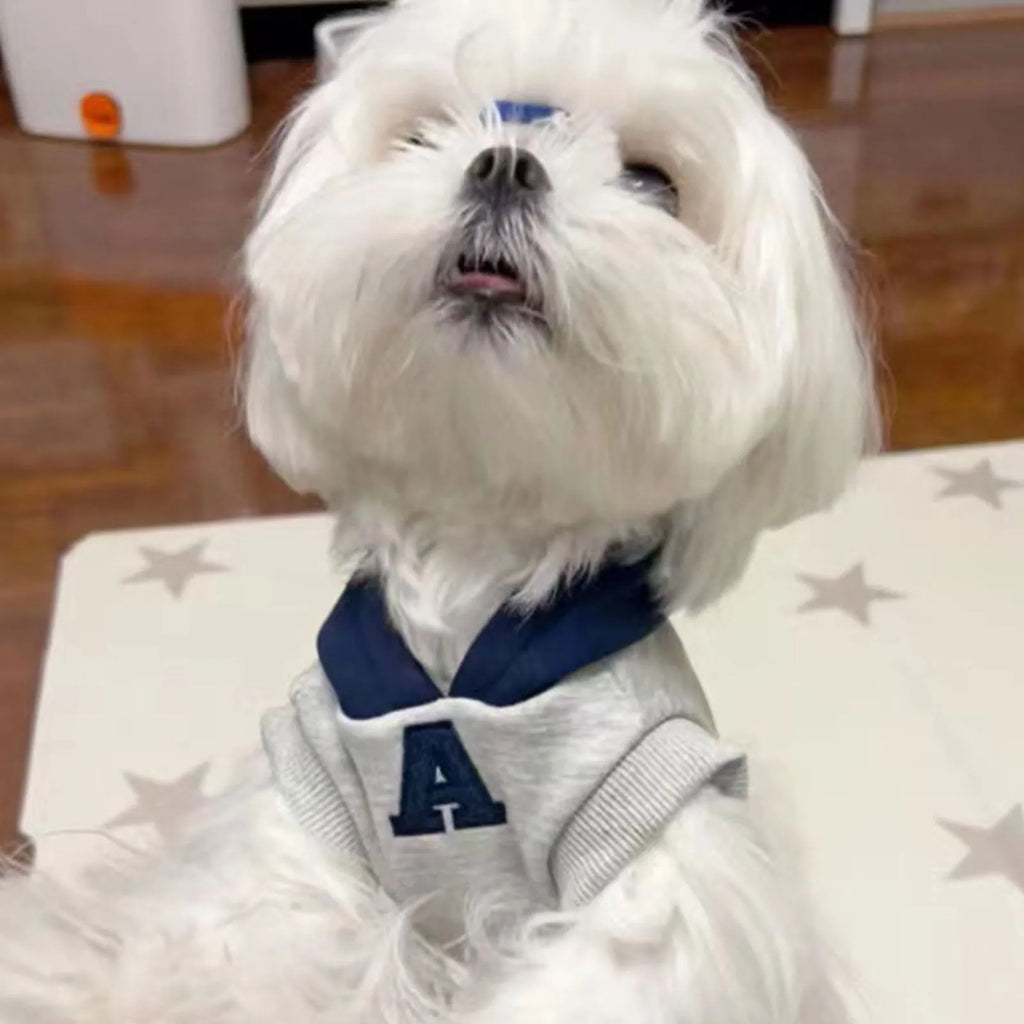 Blue pet sweater with reflective letters for a dog, showing slim-fitting design.