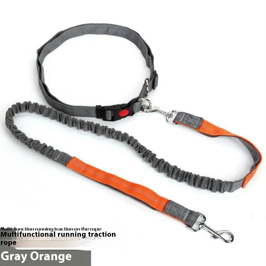 Grey and green elastic dog leash with reflective elements for night visibility during outdoor running