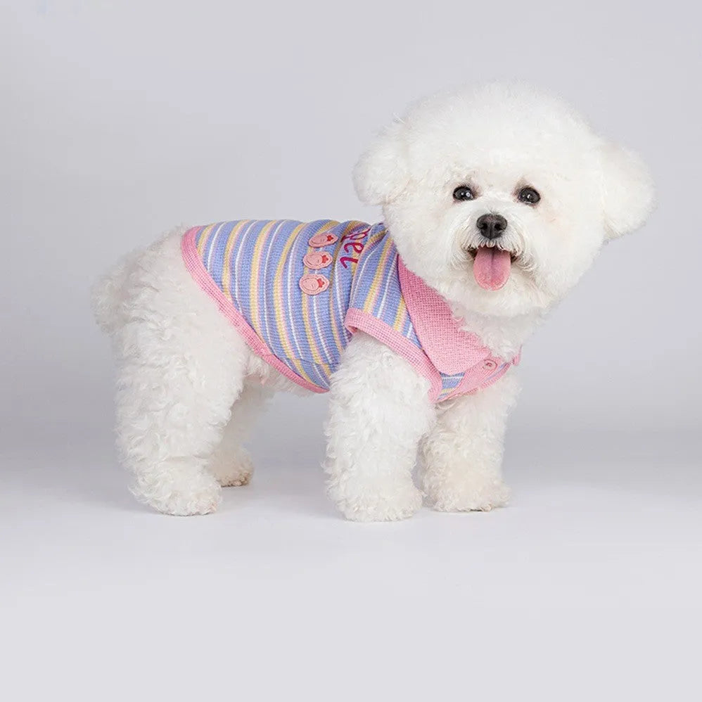 Pink purple knitted vest for a small dog on a mannequin, showing lightweight fabric and simple vest design.