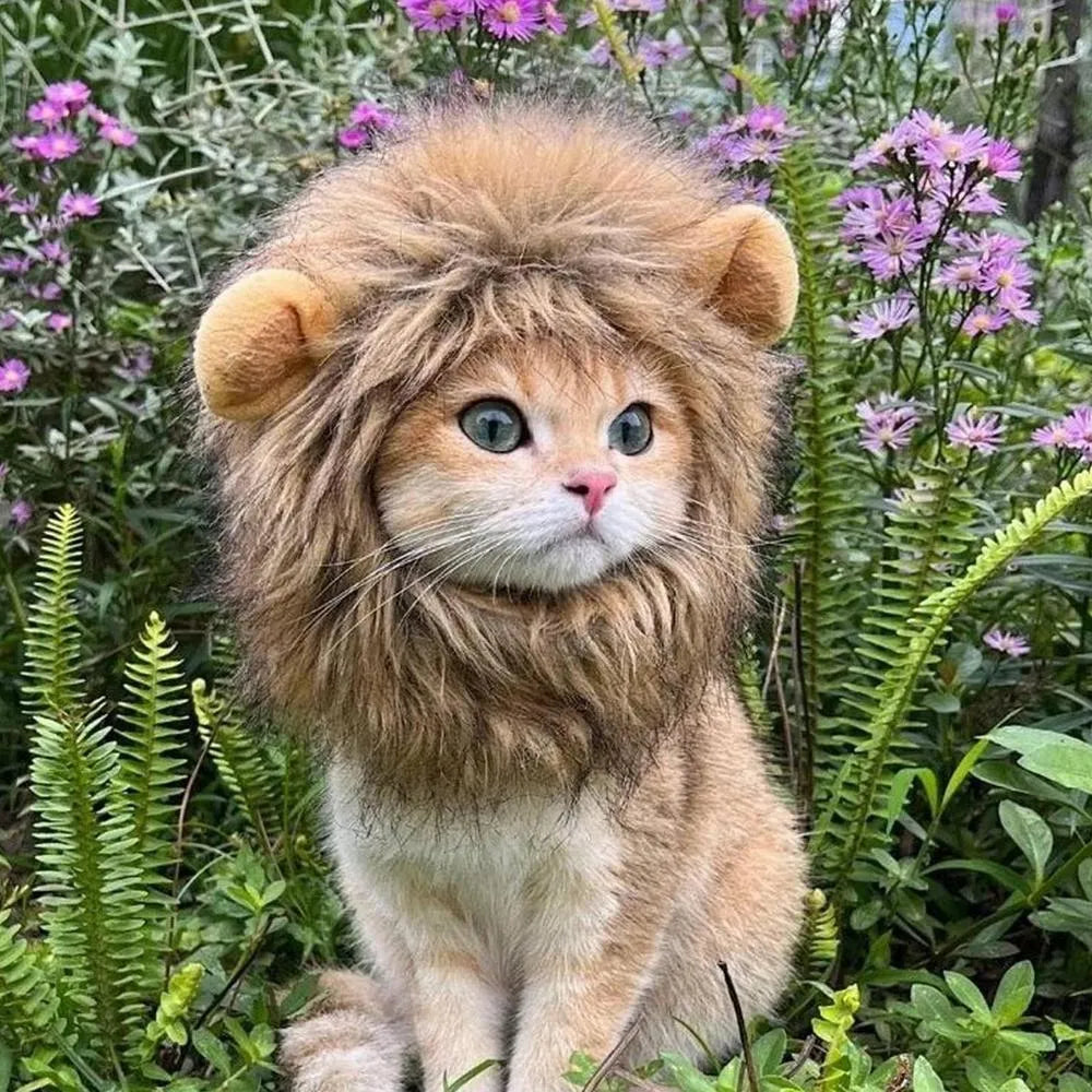 Lion mane wig costume with plush ears on a cat, showing adjustable elastic band and fluffy artificial hair.