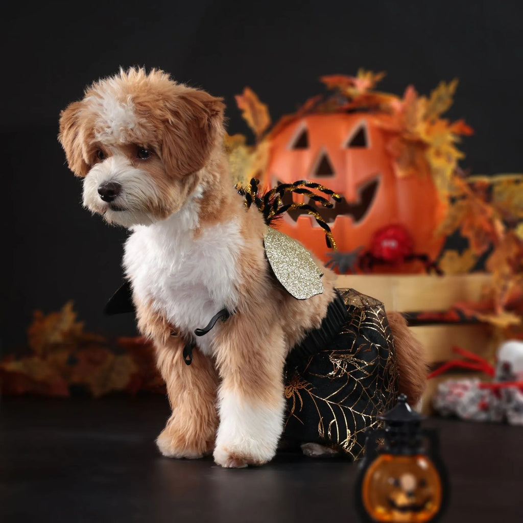 A dog wearing a black and white polyester suit costume for Halloween.