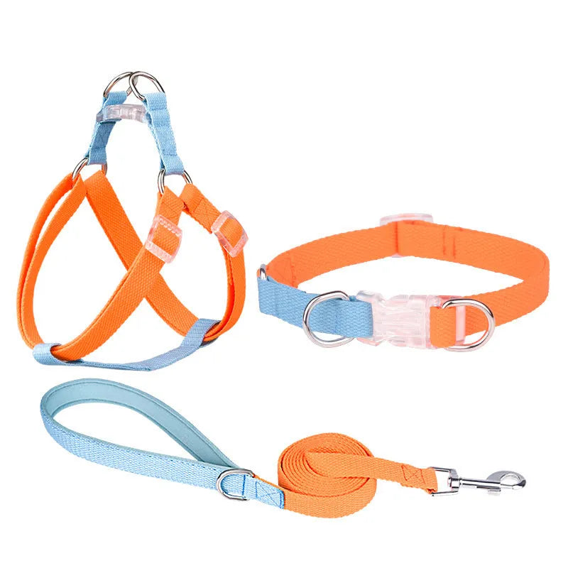 Polyester dog collar set with hand holding rope and chest strap in coordinated colour combinations