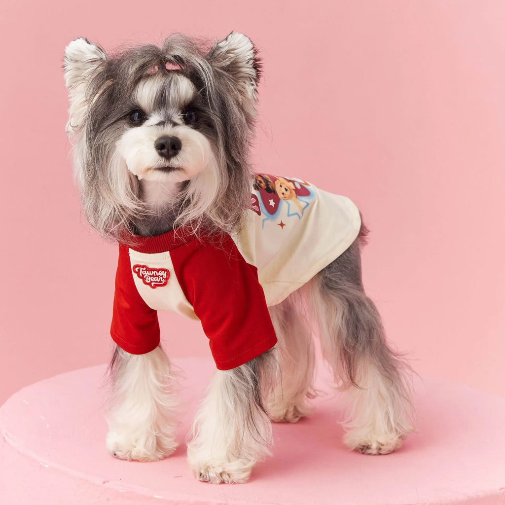 Red and pink embroidered cotton summer clothes for a dog on a size scale from XS to XXL.