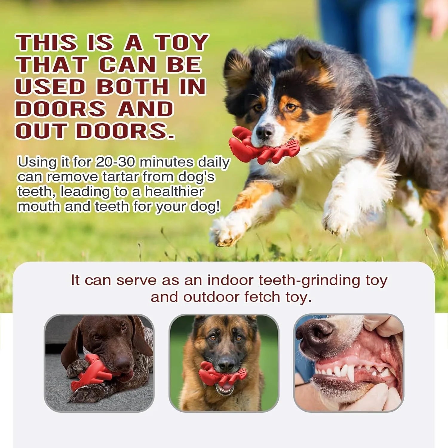 Red large Nylabone dog chew toy for aggressive chewers and dental care