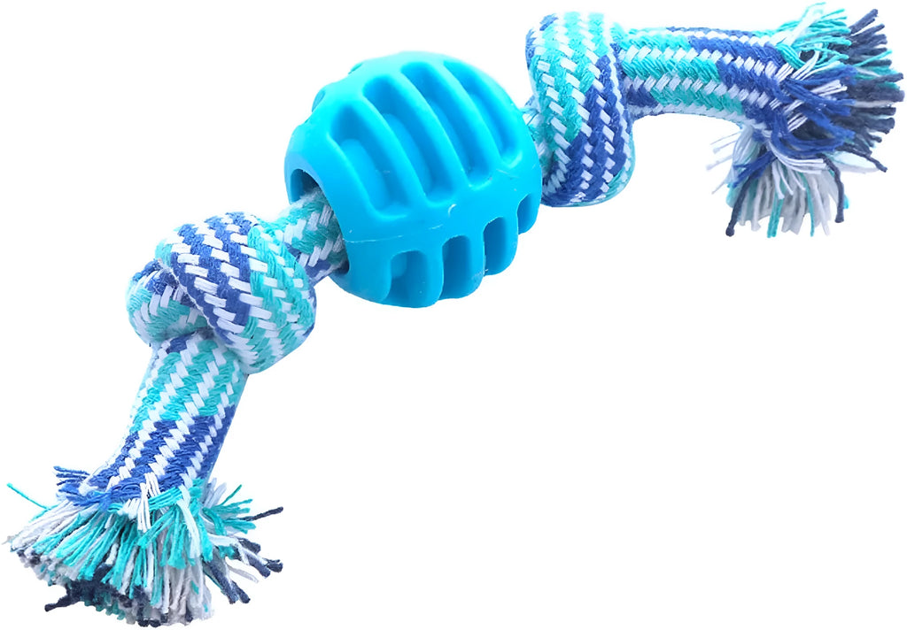 Blue dog chew toy with ropes and textured molar design for teeth cleaning
