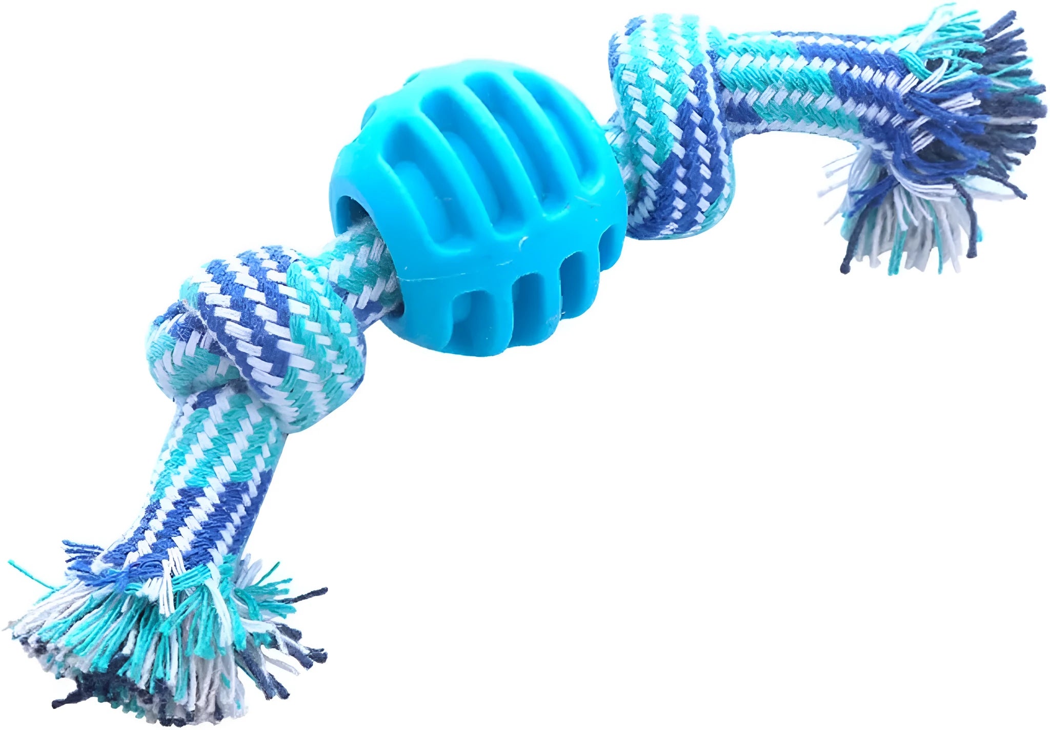 Blue dog chew toy with ropes and textured molar design for teeth cleaning