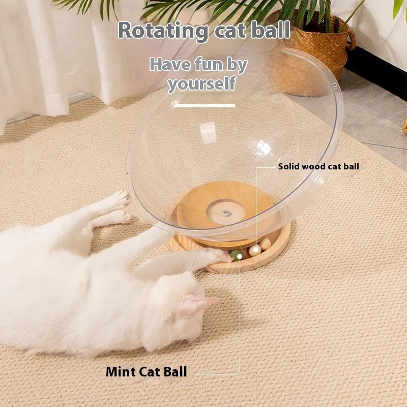 Transparent acrylic space capsule cat bed with wooden base in multiple size options