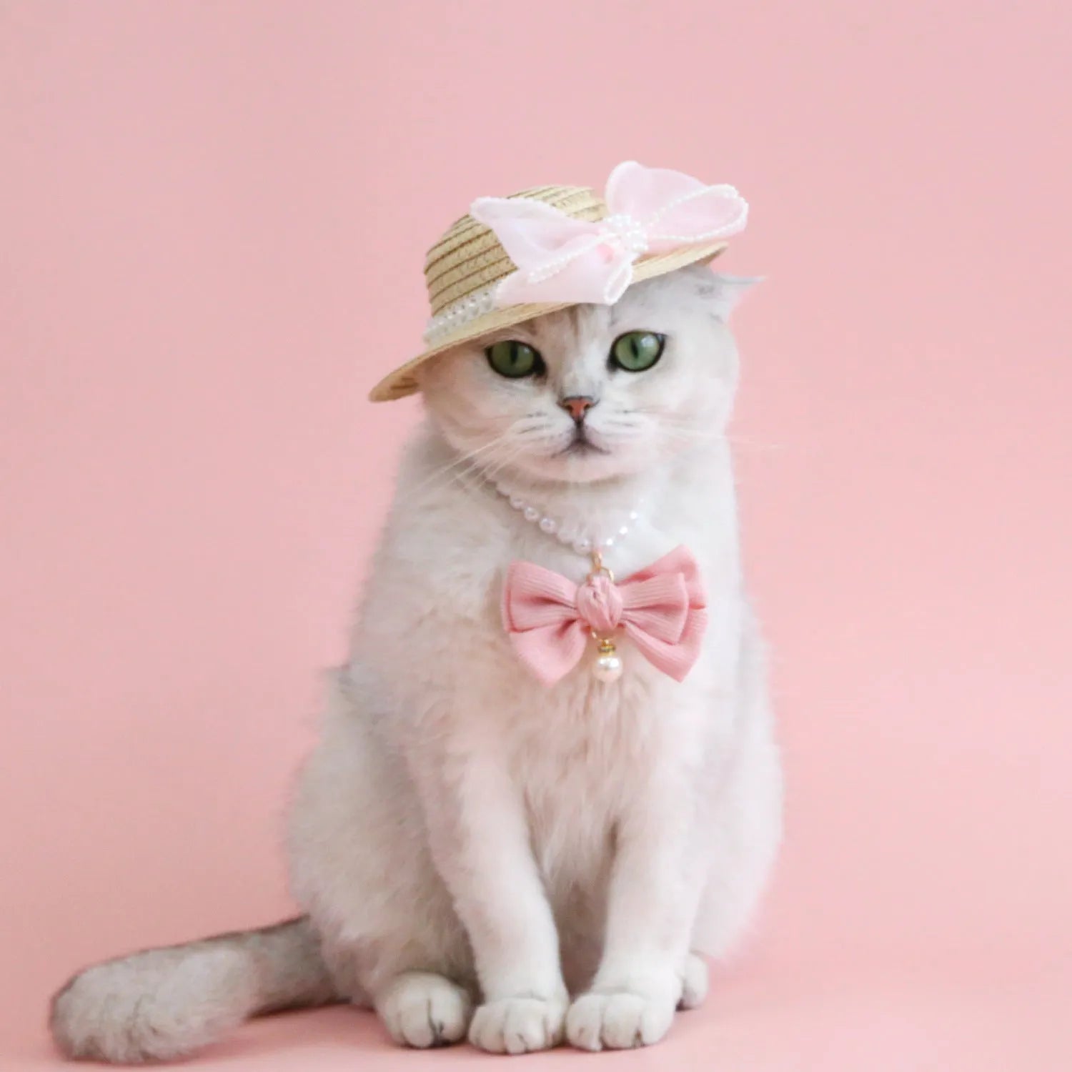 A woven Lafite leaf straw hat for a cat, decorated with a pearl butterfly bow, shown in pink, purple, blue, and white colour options.