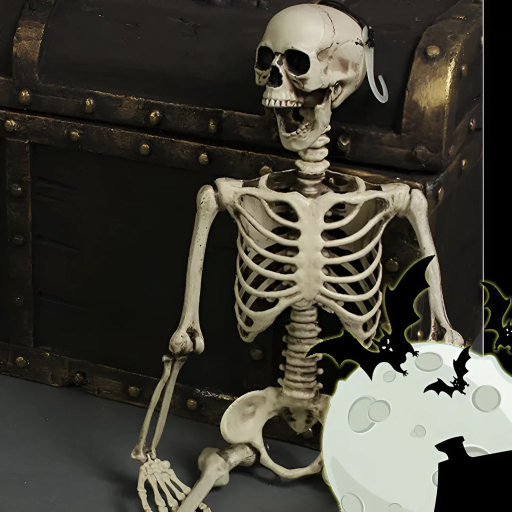 A full-size 170cm tall white plastic skeleton prop with a detailed skull on a neutral background.