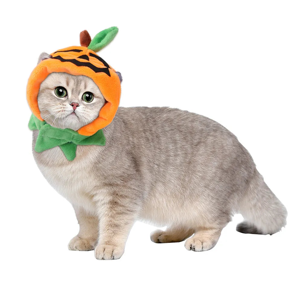 Double-sided plush Halloween cloak for dog or cat in pumpkin theme