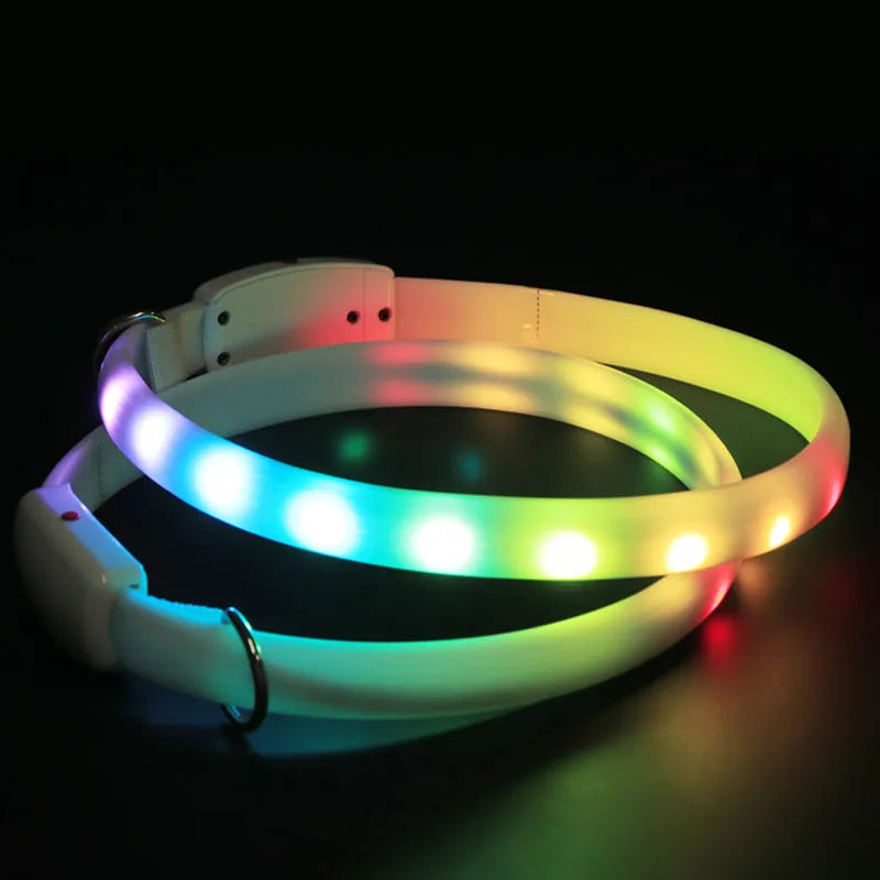 White USB rechargeable LED dog collar on a dark background, showing glowing tube and ABS switch