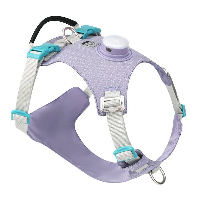 LED light dog chest harness in multiple colours with adjustable sizing for evening walks