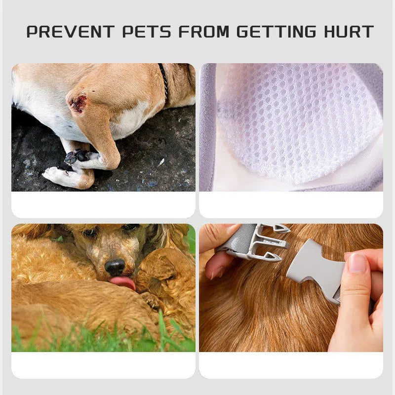 Dog wearing blue knee protector with elbow padding and matching scarf on front leg