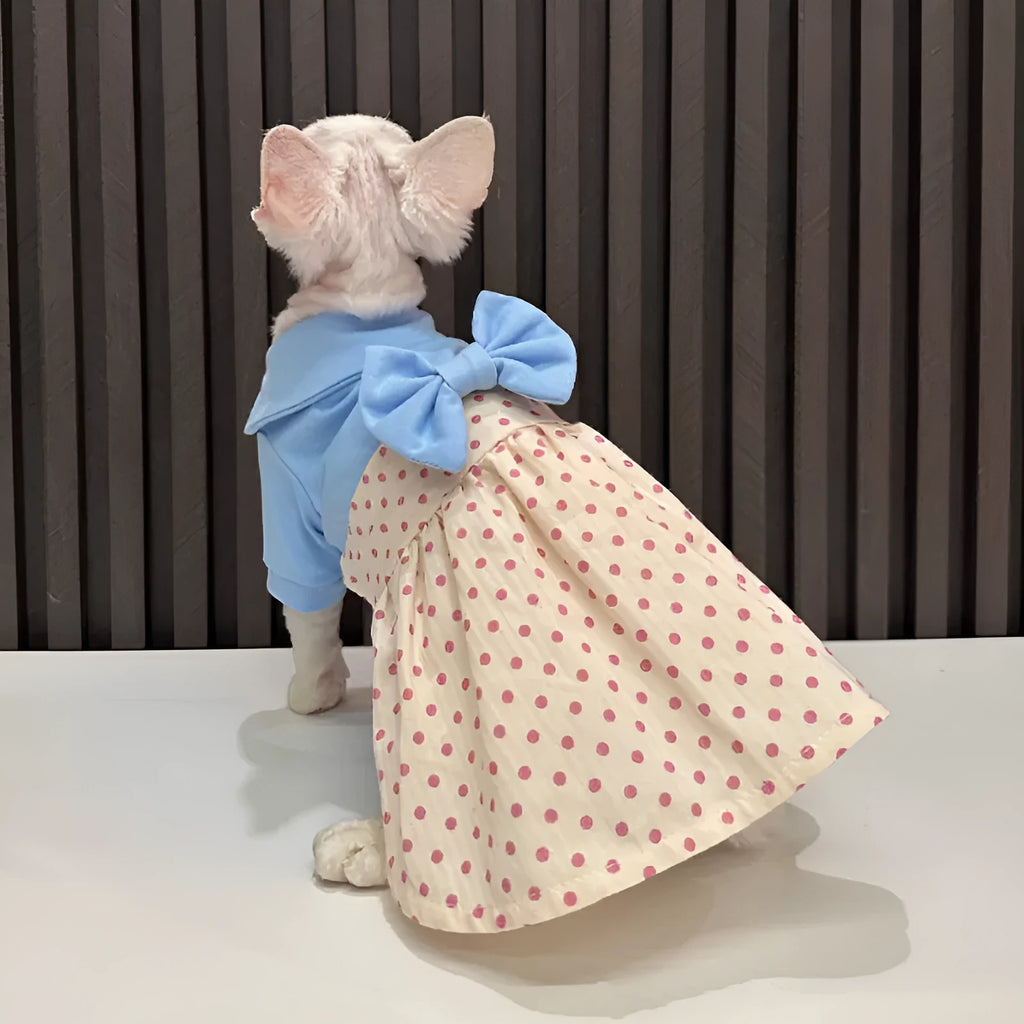 Hairless cat wearing a polka dot cotton blend bow skirt, available in sizes XS to XXXL for cats 0.75kg to 6.75kg