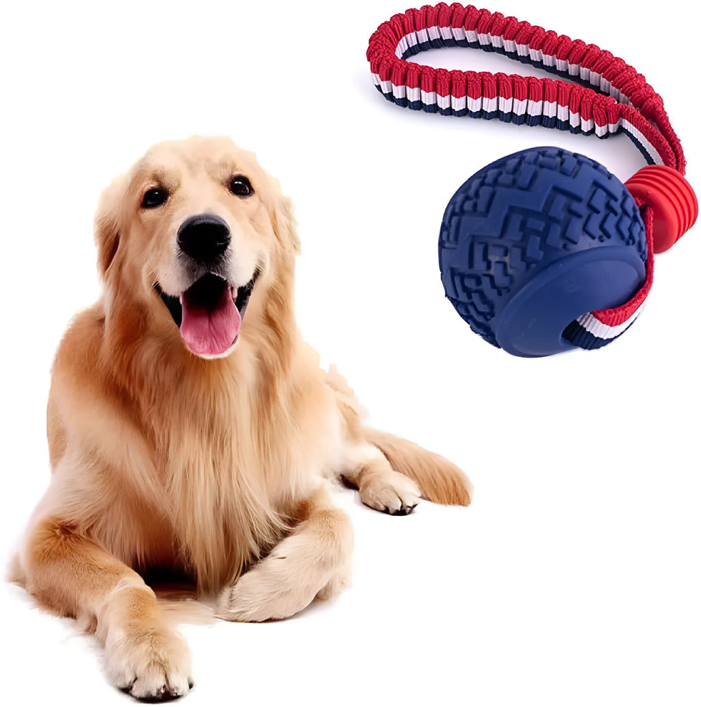 Blue dog ball with rope toy showing textured rubber surface and rope attachment for small breed dogs