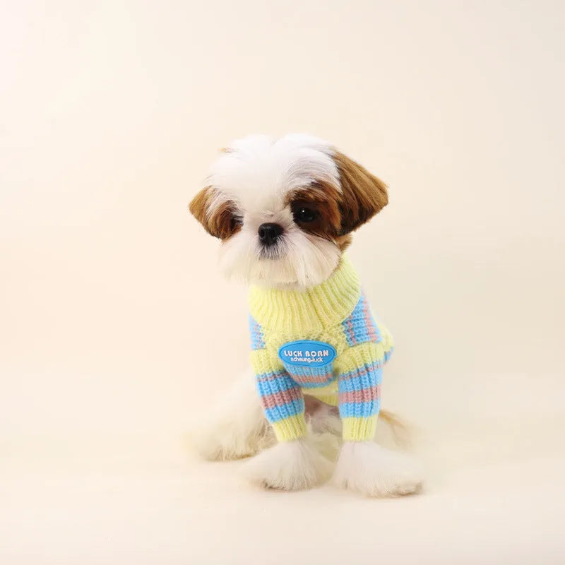 Blue and yellow striped wool dog sweater for small breeds like Schnauzer and Bichon