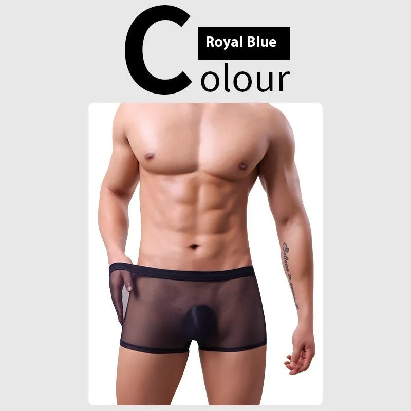 Men's mesh boxer briefs in black, white, green, sapphire blue, skin colour, or pink
