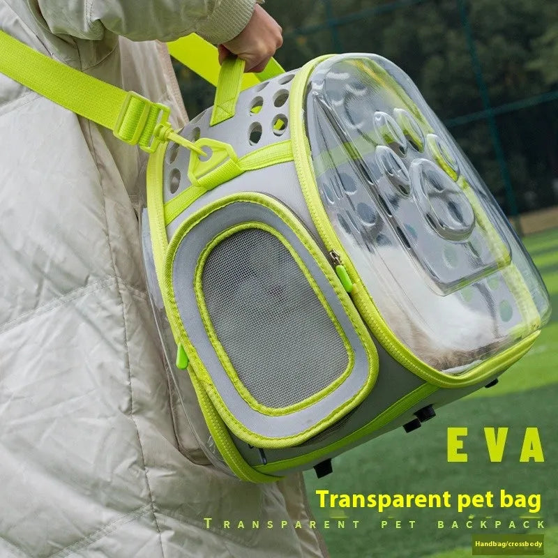 Transparent hard-sided cat carrier backpack in lake blue colour showing interior space and backpack straps